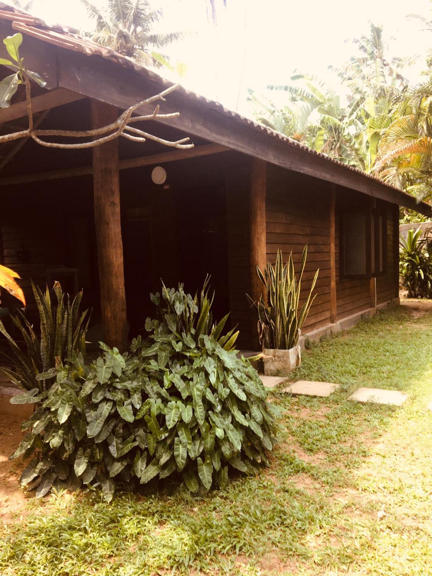 Turtle Eco Beach Hotel Matara Exterior photo