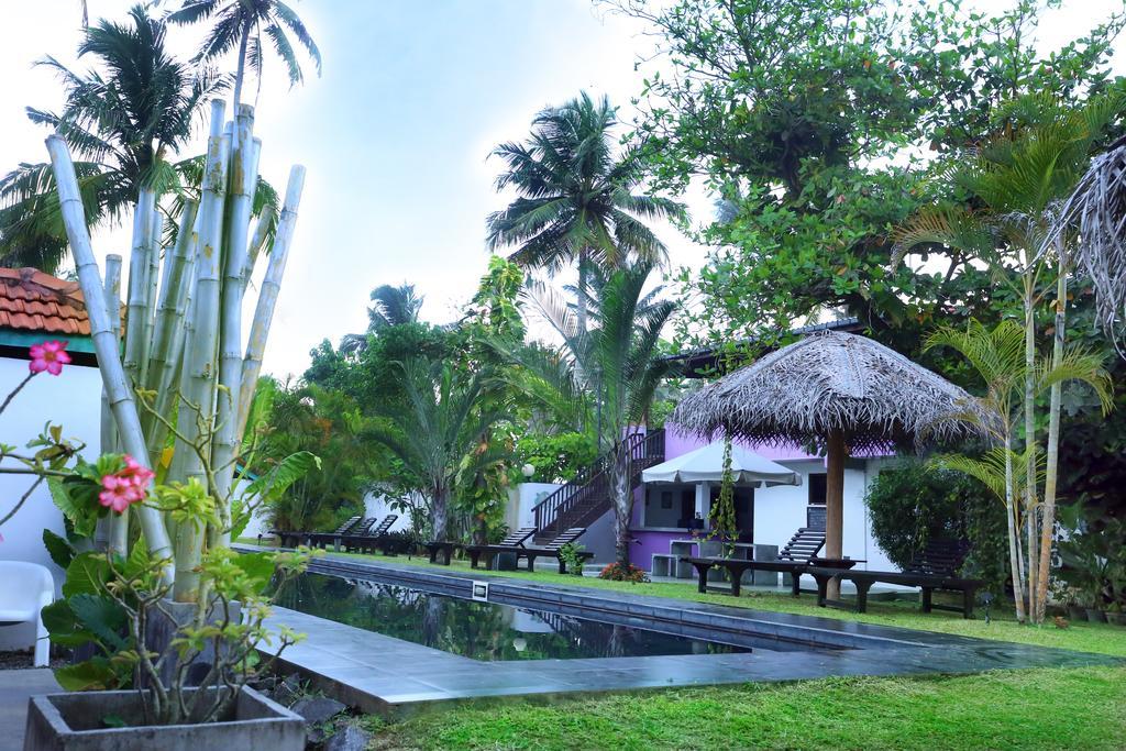 Turtle Eco Beach Hotel Matara Exterior photo