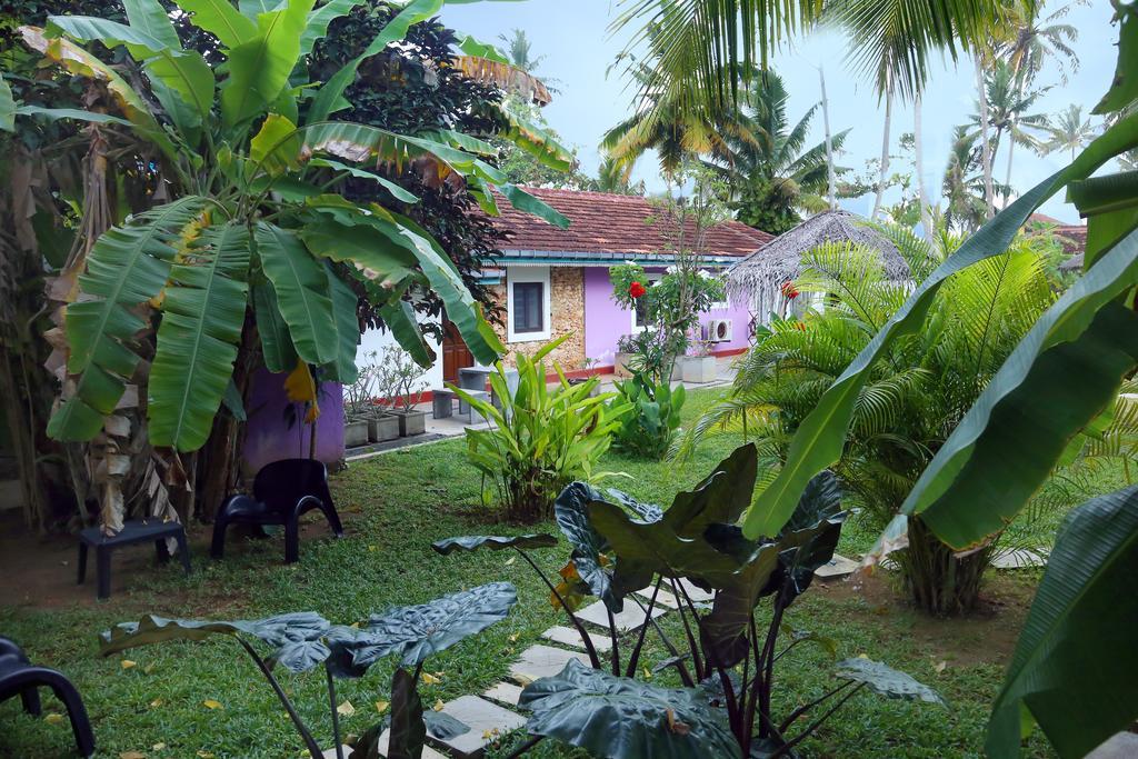 Turtle Eco Beach Hotel Matara Exterior photo