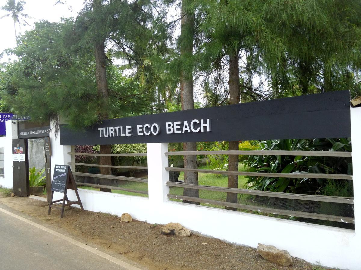 Turtle Eco Beach Hotel Matara Exterior photo