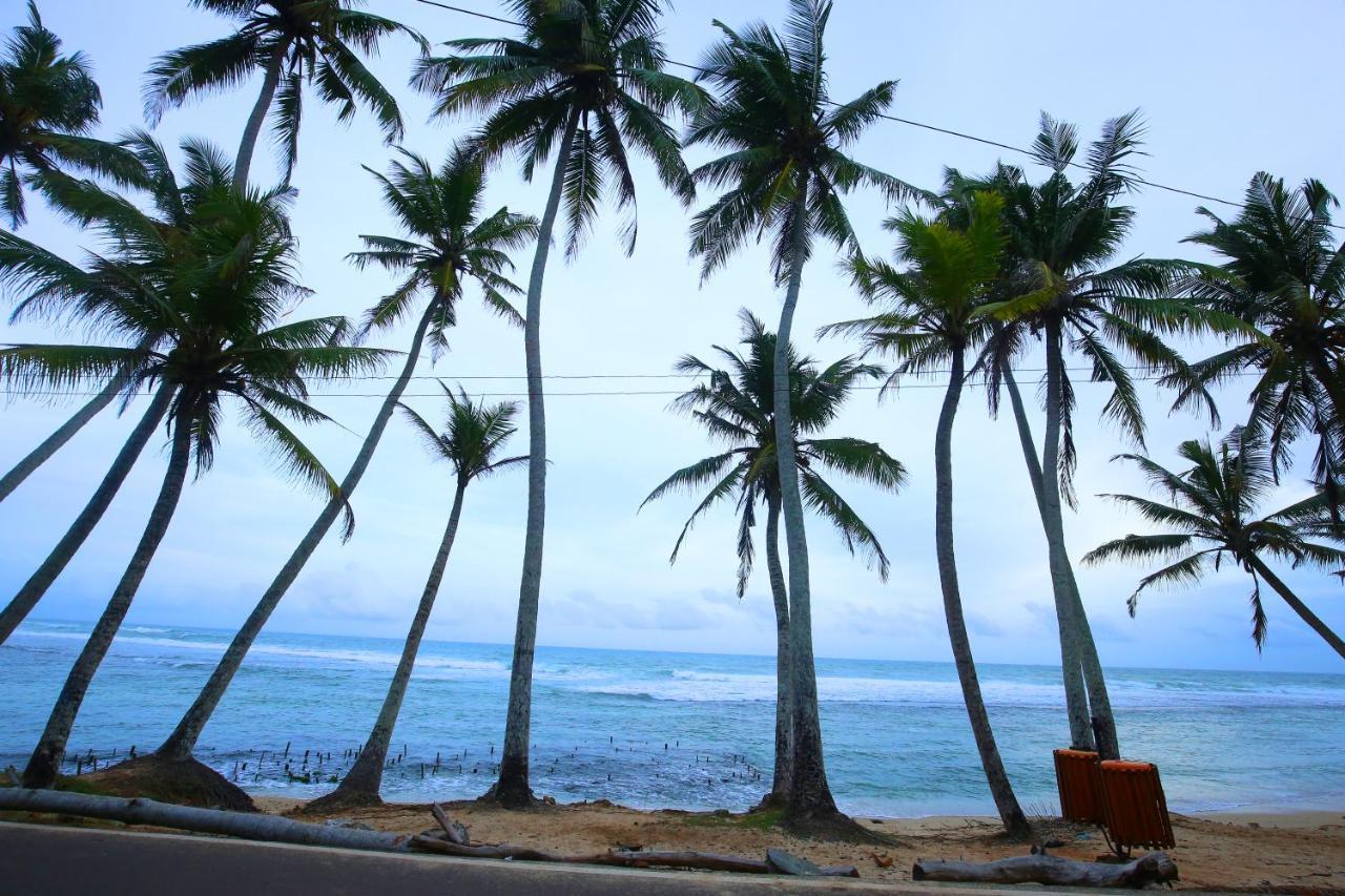 Turtle Eco Beach Hotel Matara Exterior photo