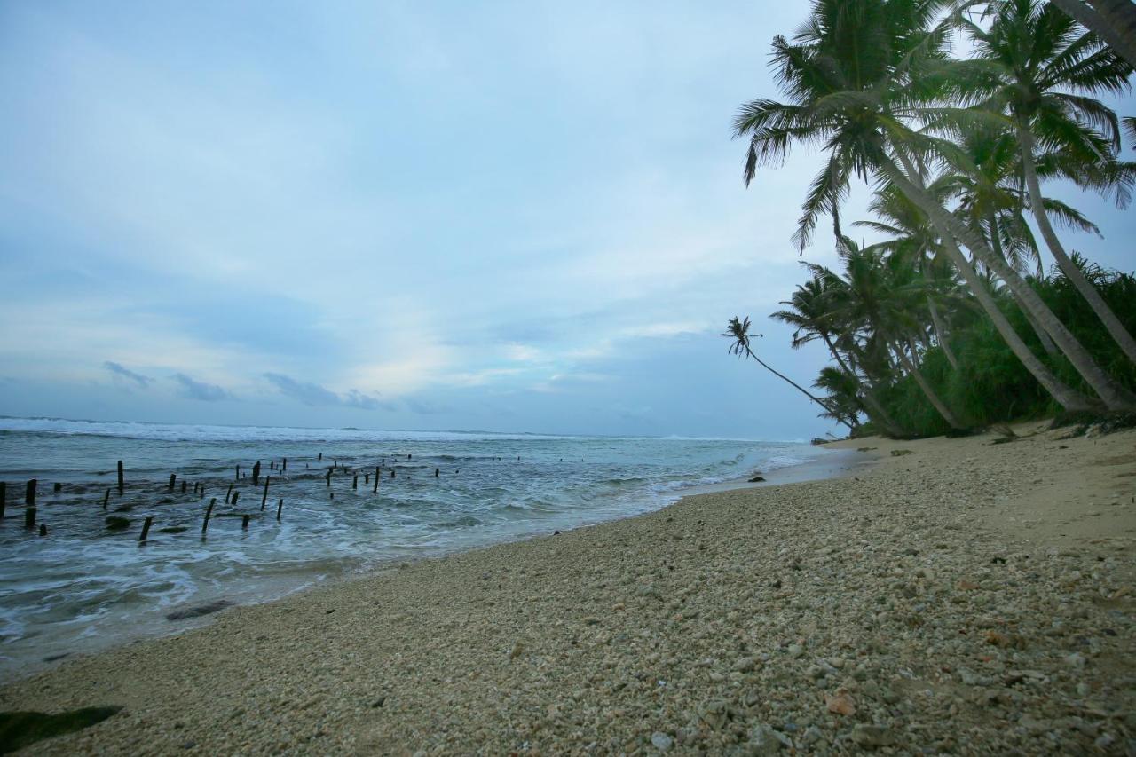 Turtle Eco Beach Hotel Matara Exterior photo