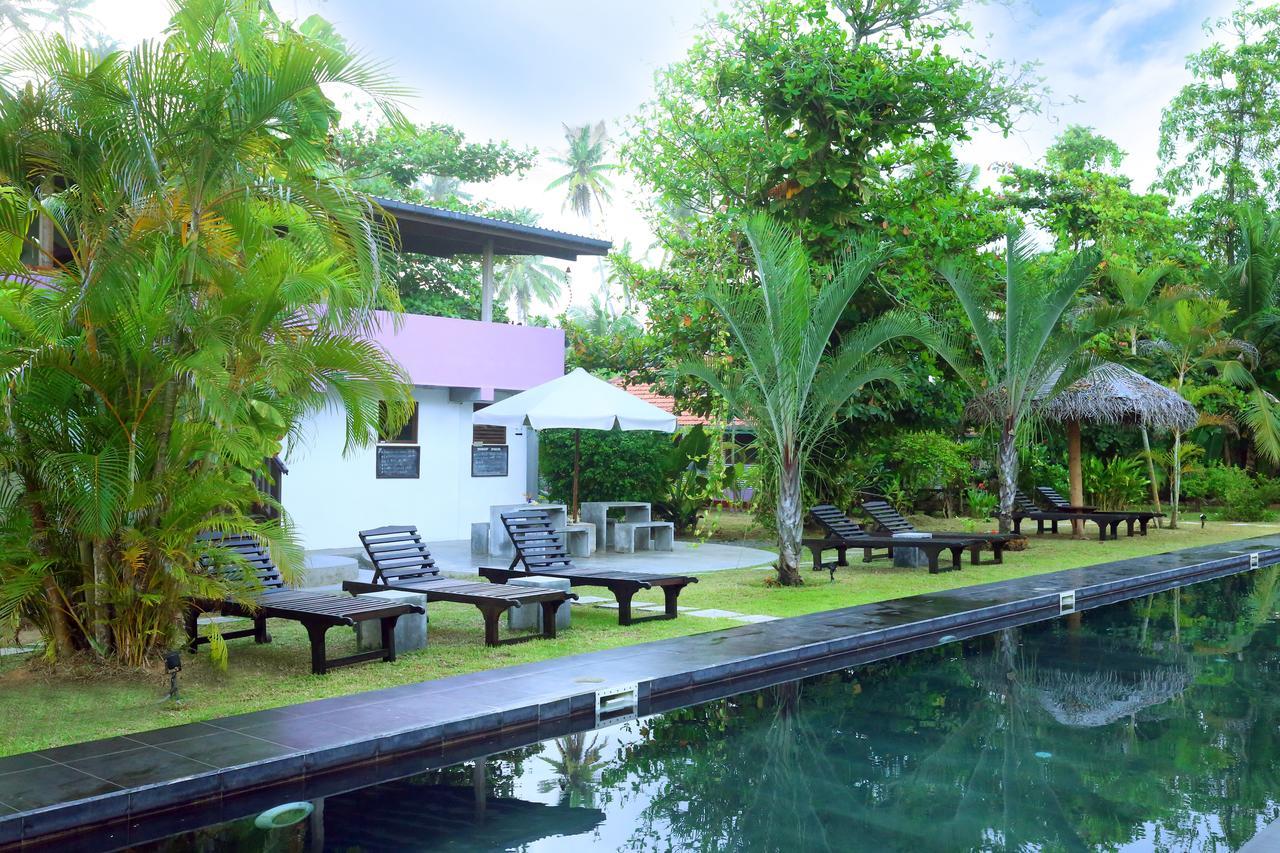 Turtle Eco Beach Hotel Matara Exterior photo