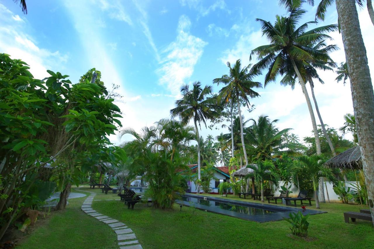 Turtle Eco Beach Hotel Matara Exterior photo