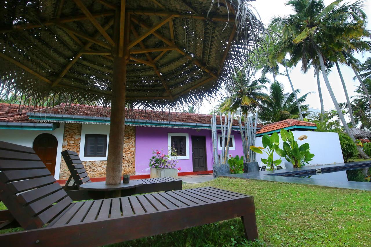 Turtle Eco Beach Hotel Matara Exterior photo